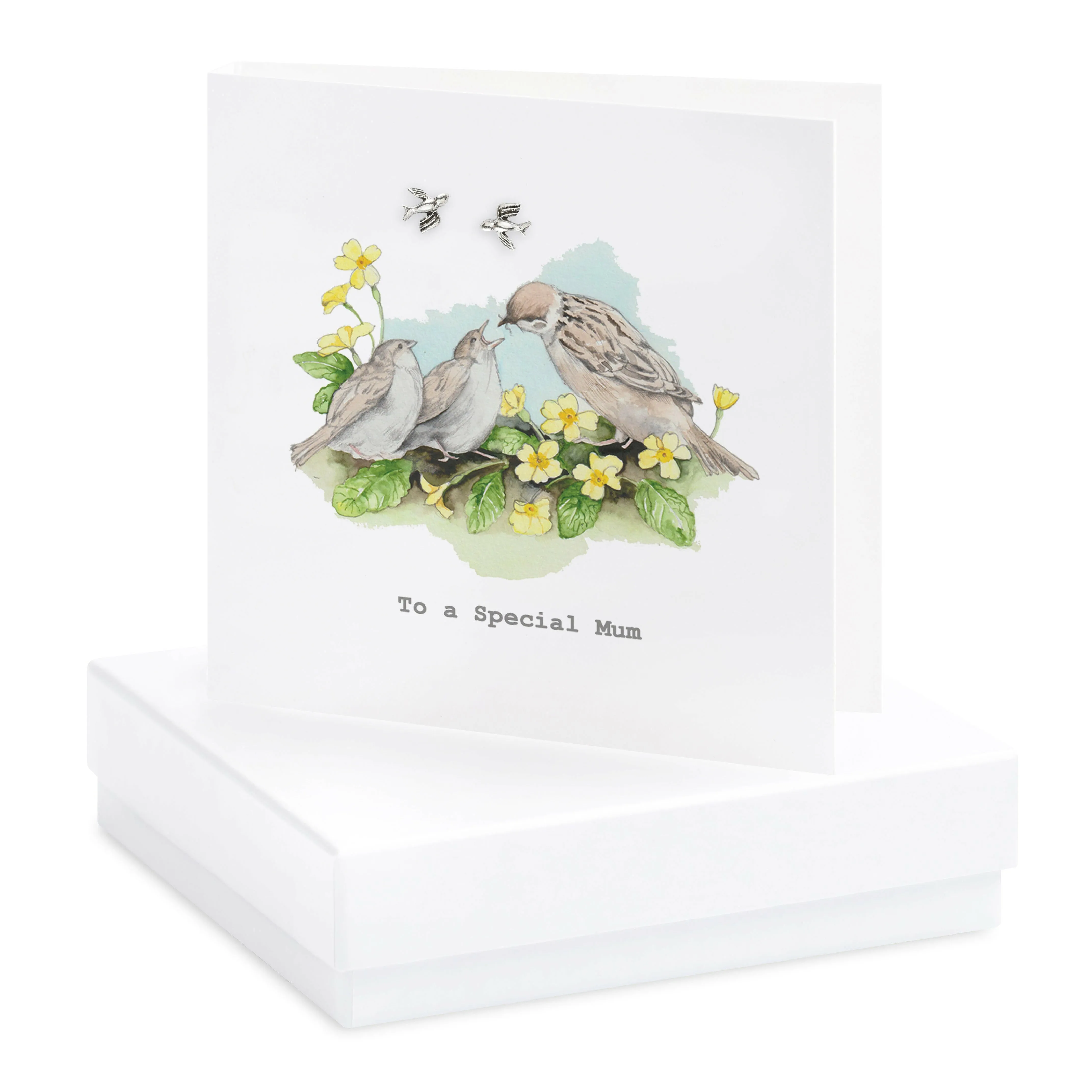 Boxed Birds Nest Silver Earring Card