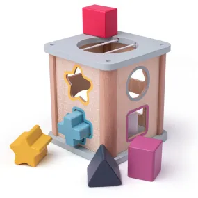 Shape Sorter Cube