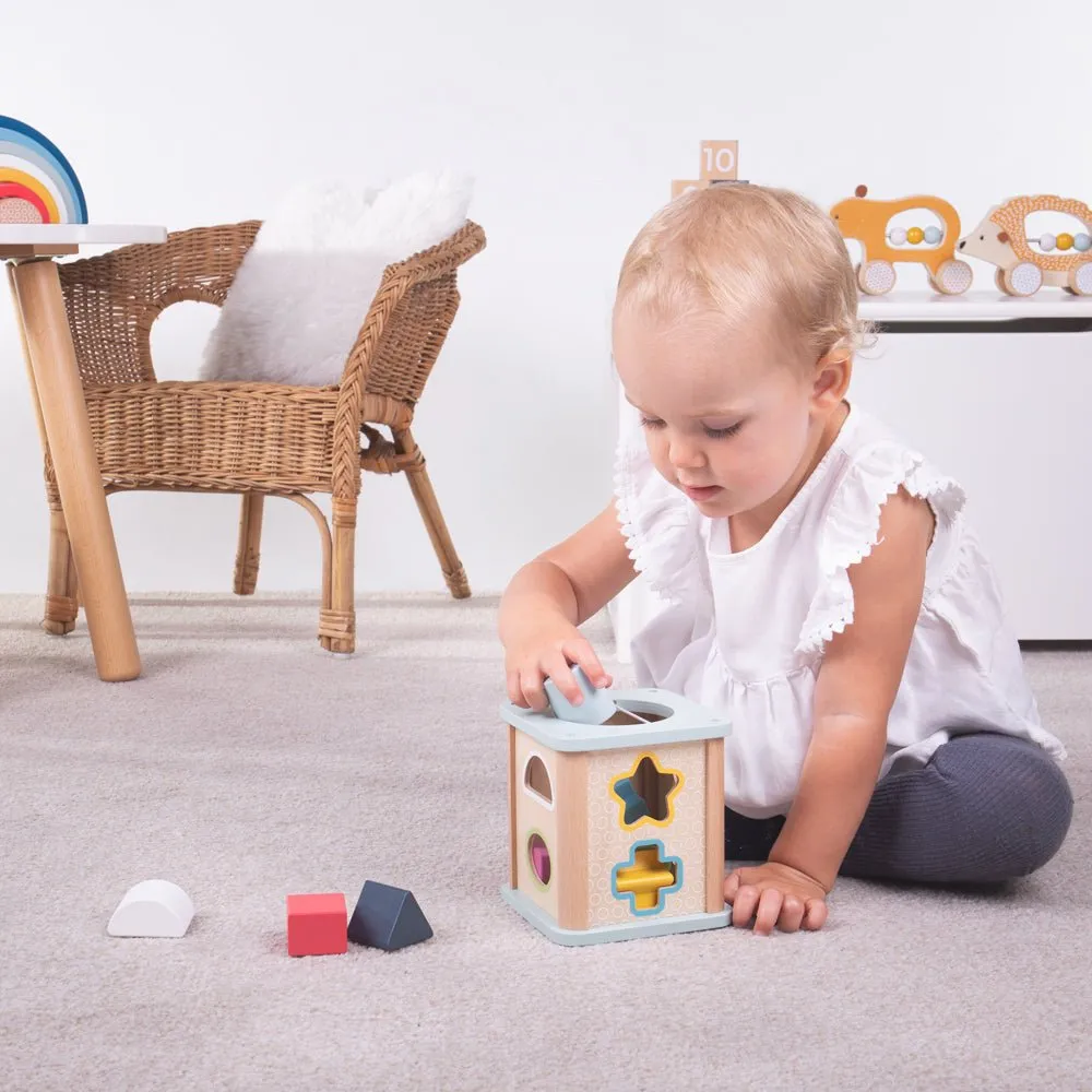 Shape Sorter Cube